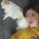 횡성댁 이미지