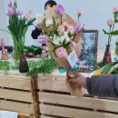 조이댕댕 이미지