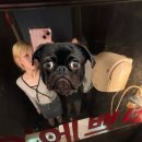 머근거