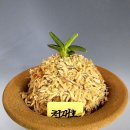 천재호 이미지