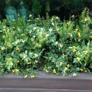 일진운수 이미지