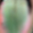 녹색공인중개사사무소 이미지