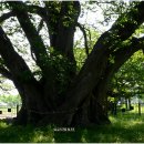 강진-35 이미지
