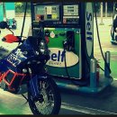 양지셀프주유소 이미지