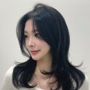 분당-217 이미지