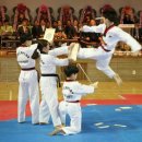 수리온태권도 이미지