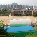 대모초등학교 이미지