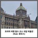 지에스25봄내박물관점 | 프라하 여행 필수 코스 국립 박물관 (feat. 맘모스)