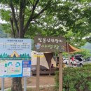 팔봉산관광지 야영장 이미지
