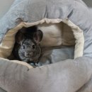 구지동물병원 이미지