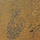 문화축산 이미지