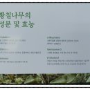 진영주유소임대 | 부모님선물 황장력-발효황칠장어진액 설날선물로 딱! 50대남자선물