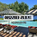 [필리핀/보홀] <아모리타 Amorita 리조트> 팡라오 오션뷰 숙소 및 수영장 후기