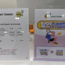 수원 실내 운동 취미 추천 ‘써니테니스’ (가격, 1:1 레슨 후기)