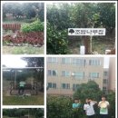 월산펜션 민박 | [제주독채민박,키즈펜션,조밤나무집]스크랩~키즈펜션 놀러왔어요~~~^^|