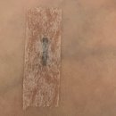 바른몸애 대구수성점 | [대구 마사지] 바른자세 체형교정 마사지 수성점 후기