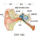 큰나무이비인후과의원 이미지
