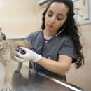 평안보건진료소 이미지