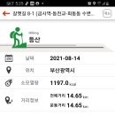 수영강 동천교 이미지