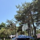 보건소1 | B형 간염주사 1차 예방후기 서초구 보건소