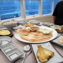 애견명가 이미지