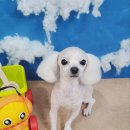 소사미용실 이미지