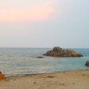 상벌농장 이미지