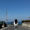 고내리안 민박 | [제주 애월] 제주도 고내리 바닷길 후기 사진 잘 나오는 포인트부터 주차 꿀팁까지