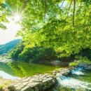 산수화펜션 이미지