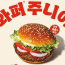 포화로 817 이미지