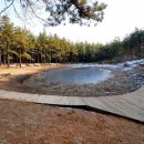 밤마리권역 이미지