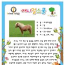 가람통신 이미지