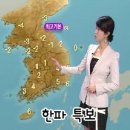 엘리트복싱클럽 이미지