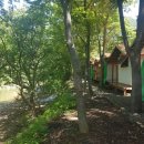 일번지펜션 이미지