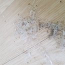 효성케어 이미지