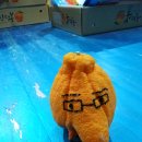 정인농장 이미지