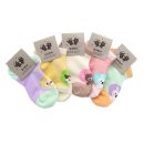 진원이네 이미지