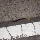 구성고등학교 이미지