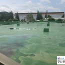 해냄부동산공인중개사사무소 이미지