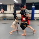 현 합기도 이미지