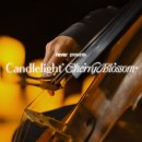 감성있는 클래식 캔들 이미지