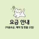 고양이의 봄, 묘랑묘랑 네이버블로그