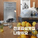 나랑히요 | [전포맛집] 데이트하기 좋은 곳, 음식도 다 너무 맛있는 레스토랑 &#34;나랑히요 NARANJILLO&#34; 후기