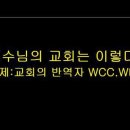 유튜브/예수님의 교회는 이렇게 생겼다(부제:교회의 반역자 WCC.WEA) 이미지