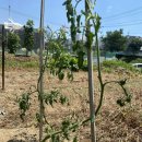 행자농장 이미지