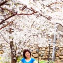 연꽃마을 노인요양원 이미지