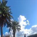 신대공인중개사사무소 이미지