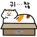 버거플렉스 이미지