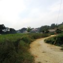 마정4리 이미지