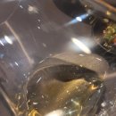 루아르(Loire) | 에커만 크레망 드 루아르 간단 시음 후기, ACKERMAN Crémant de Loire